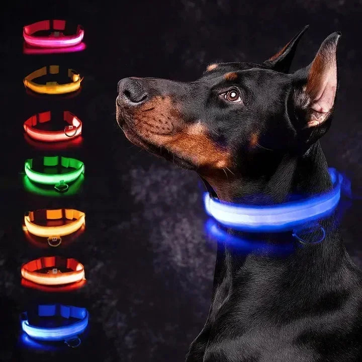 LED Adjustable Dog Collar