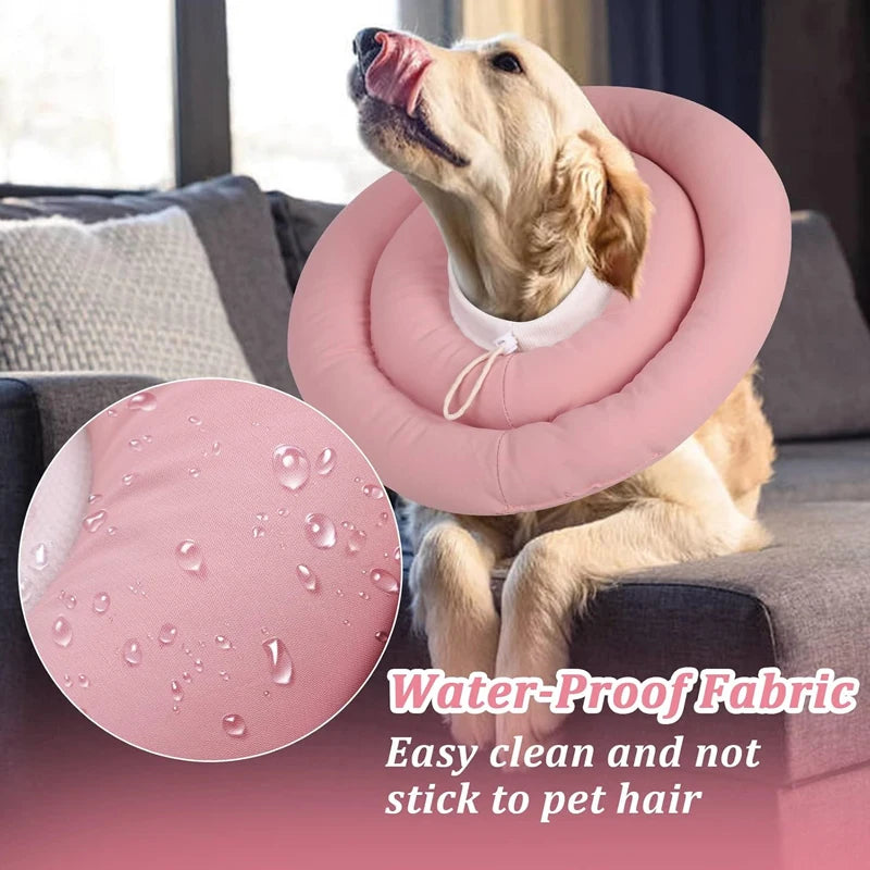 Adjustable Elizabeth Collar