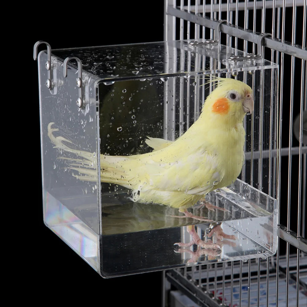 Transparent Acrylic Bird Bath