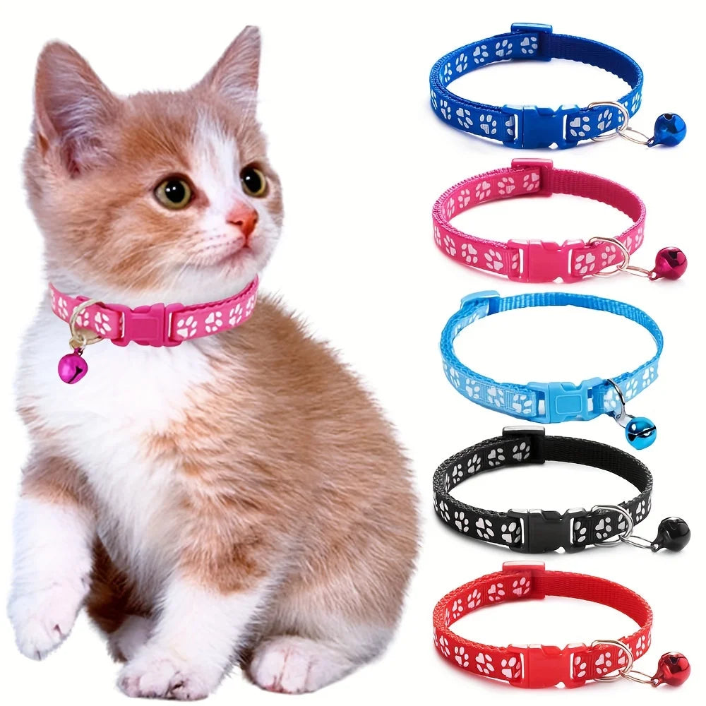 Colorful Cat Collar