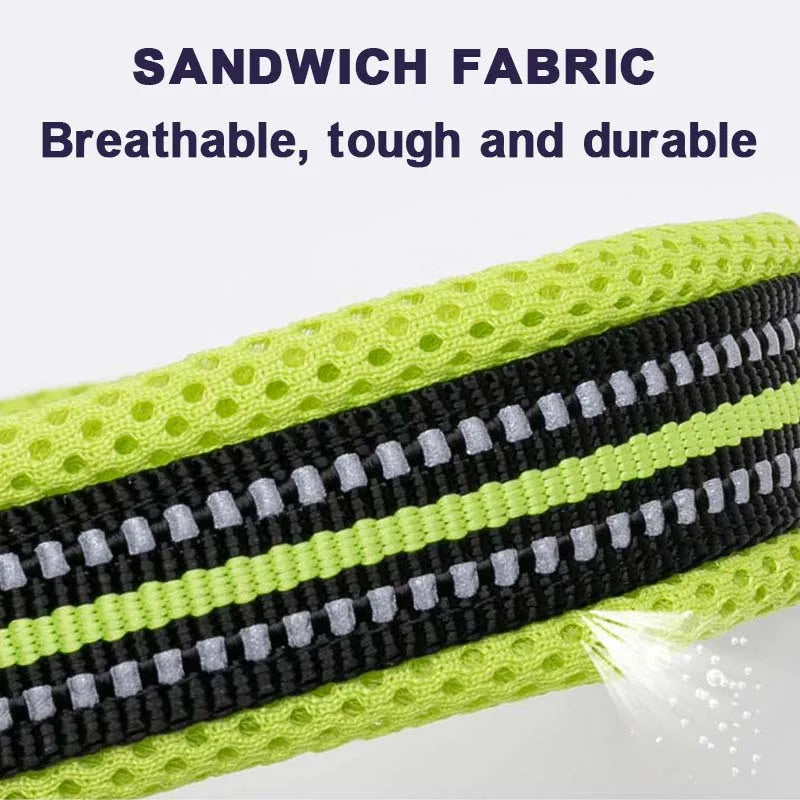 Padded Dog Collar