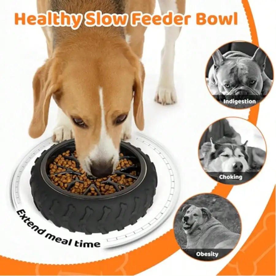 3-in-1 Stainless Steel Slow Feed Dog Bowl