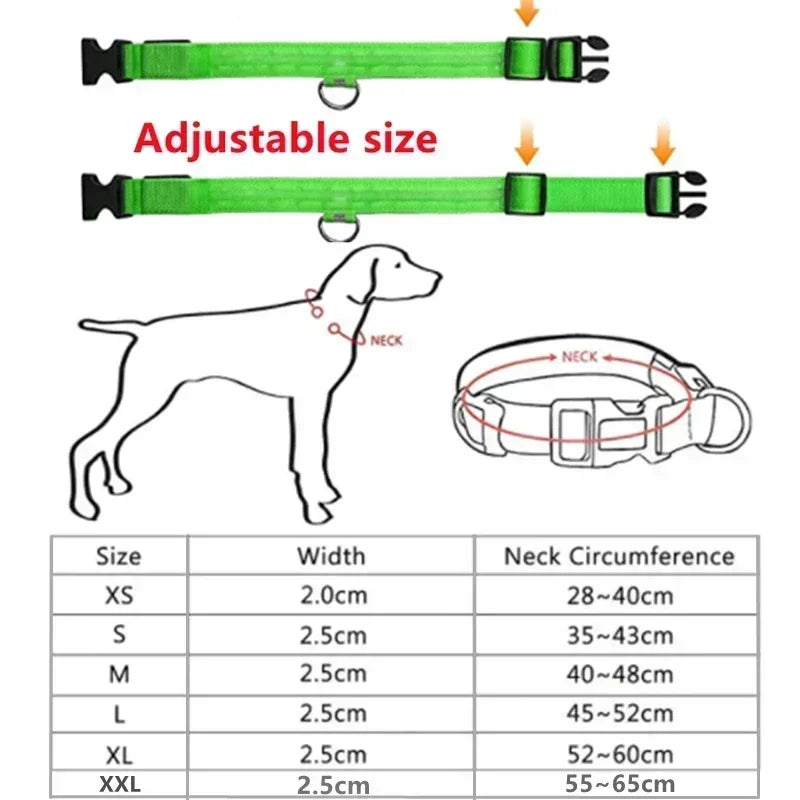 LED Adjustable Dog Collar