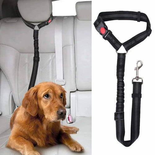 2-in-1 Car Seatbelt Restraint