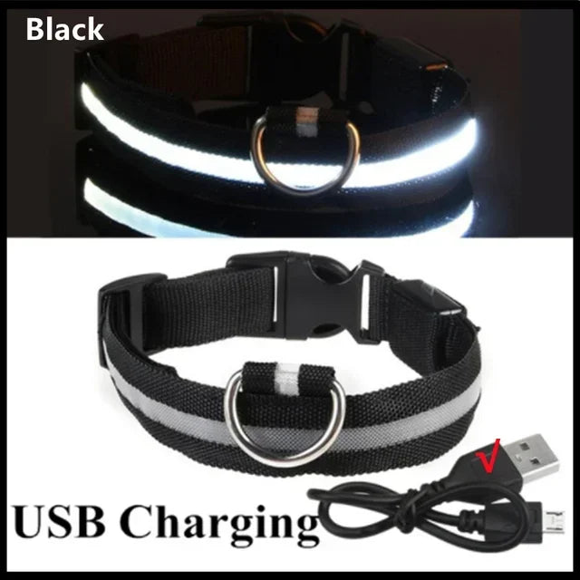 LED Adjustable Dog Collar