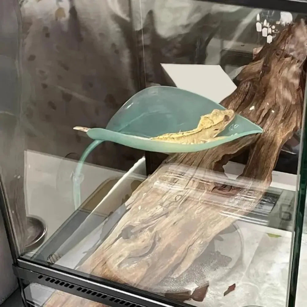 Leaf Suction Cup Reptile Basking Area