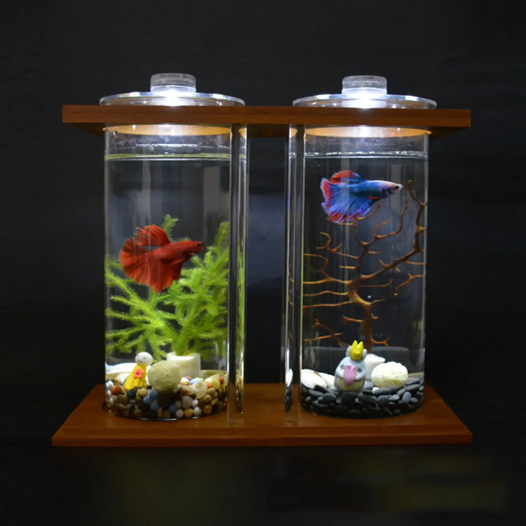 Double Glass Betta Fish Tank with LED Light