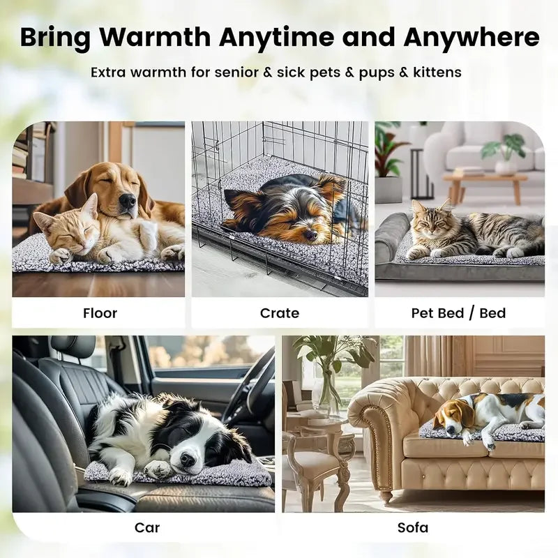 Self-Heating Pet Bed