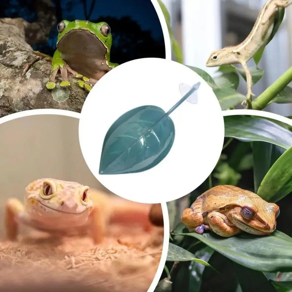 Leaf Suction Cup Reptile Basking Area