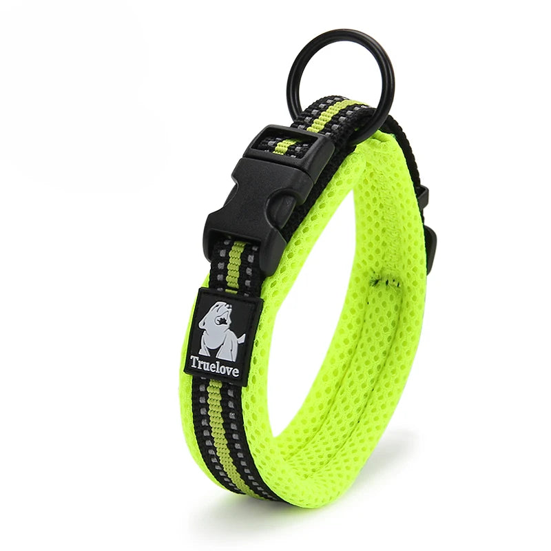 Padded Dog Collar