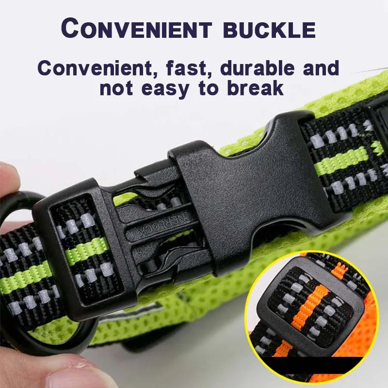 Padded Dog Collar