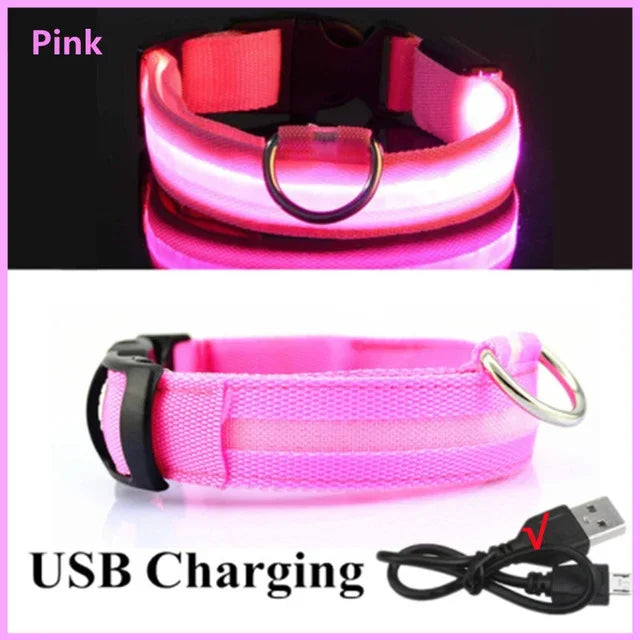 LED Adjustable Dog Collar