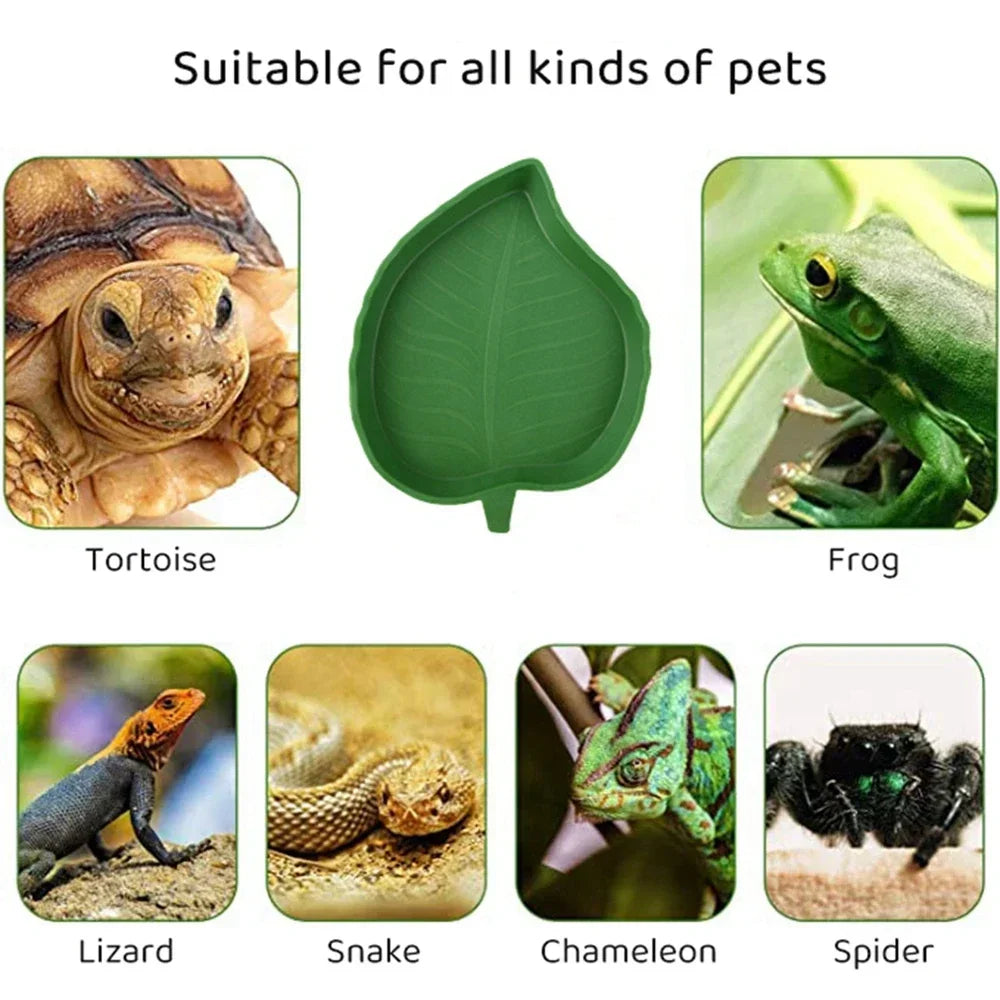 Leaf Shape Reptile Food/Water Bowl