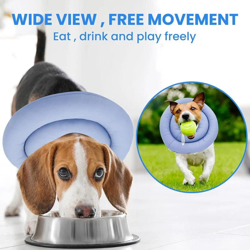 Adjustable Elizabeth Collar