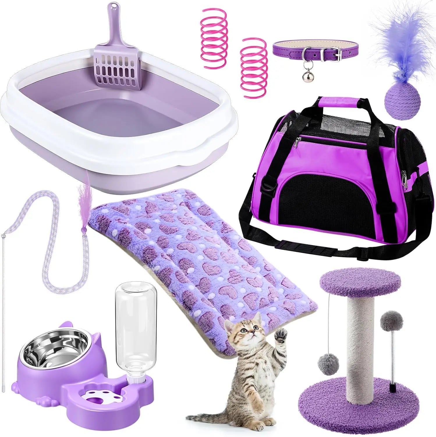 10-Piece Kitten Starter Kit