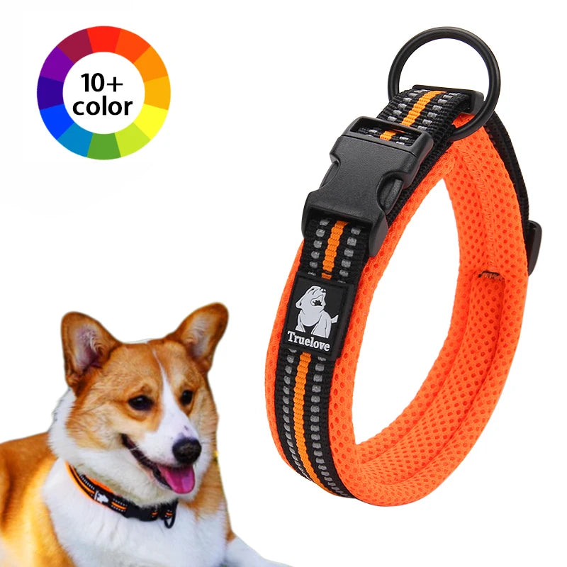 Padded Dog Collar