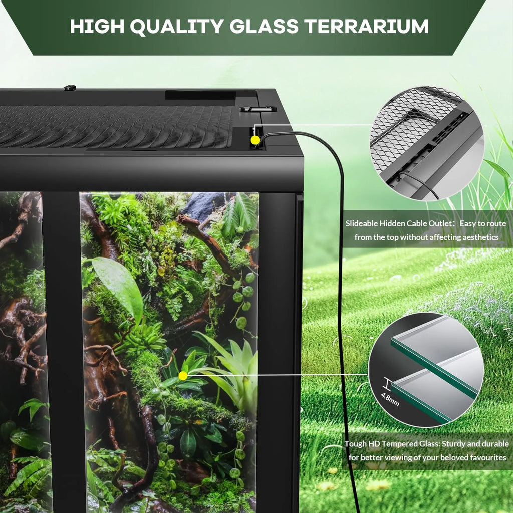 Tempered Glass Reptile Habitat