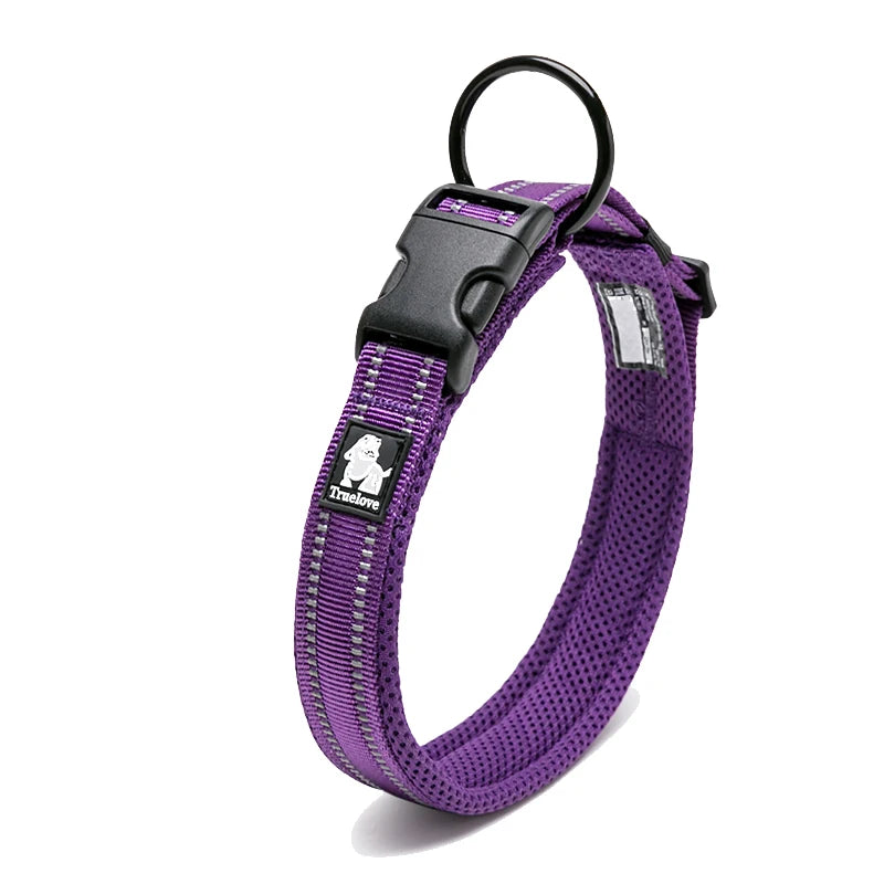 Padded Dog Collar