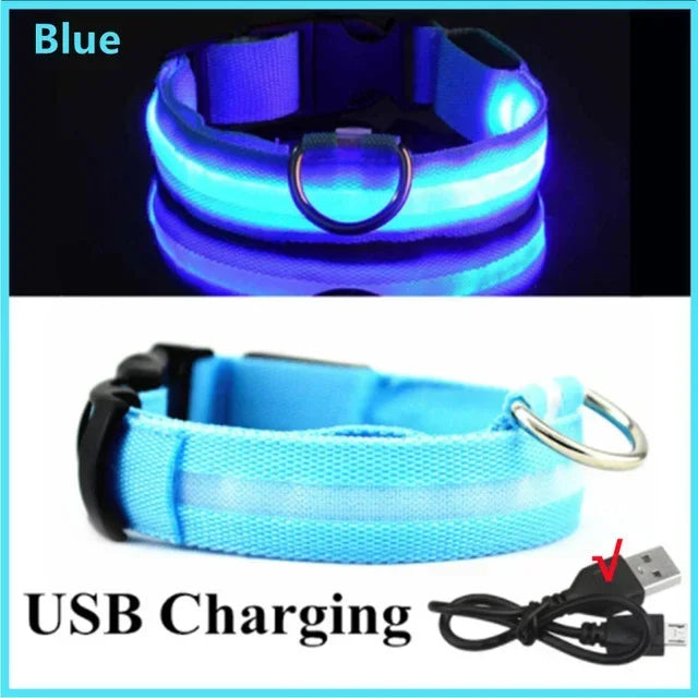 LED Adjustable Dog Collar