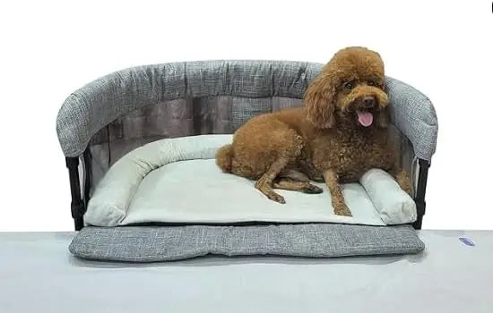 Elevated Pet Bed with Sides