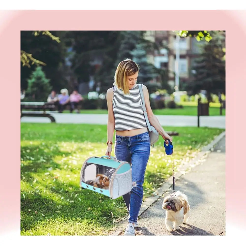Small Pet Travel Carrier