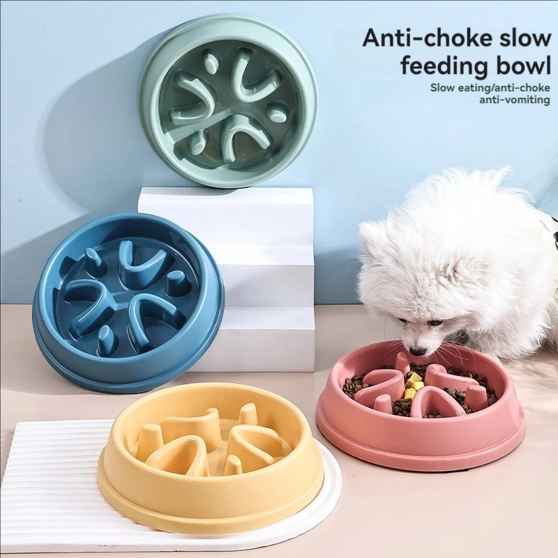 Small Slow Feed Bowl