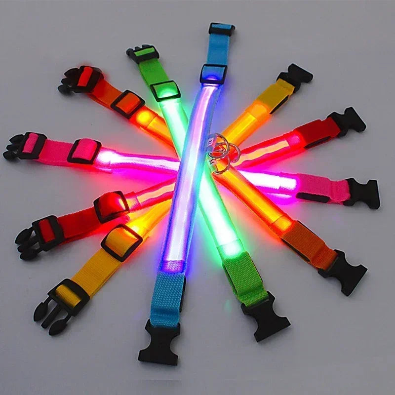 LED Adjustable Dog Collar