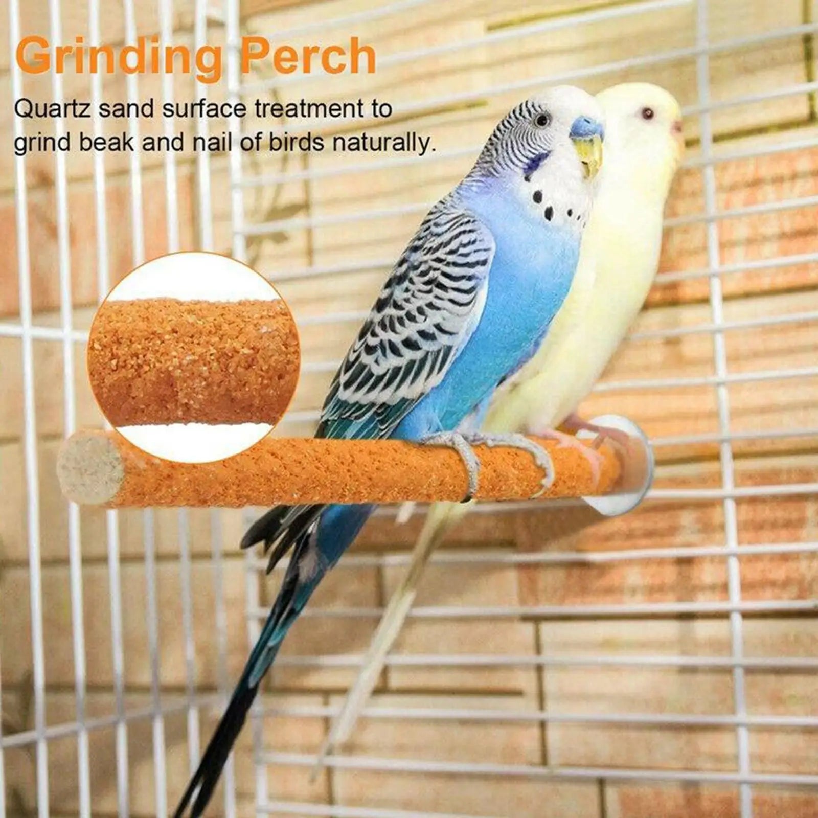 Bird Perch Grinding Stick