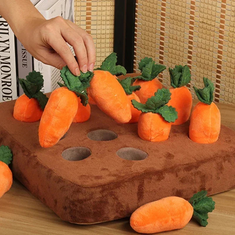 Carrot Slow Feed Mat