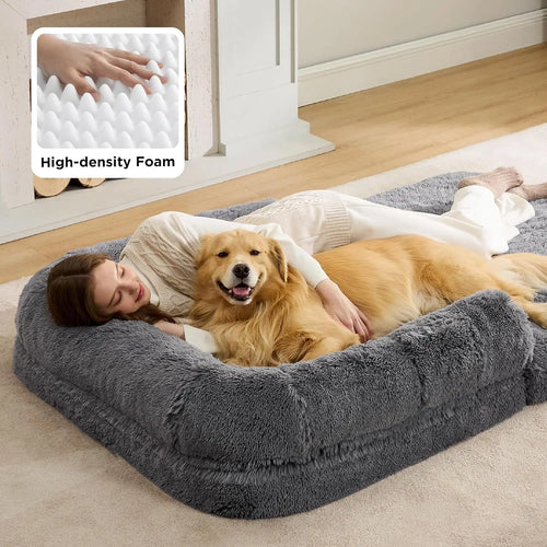 2-in-1 Orthopedic Foam Dog Bed