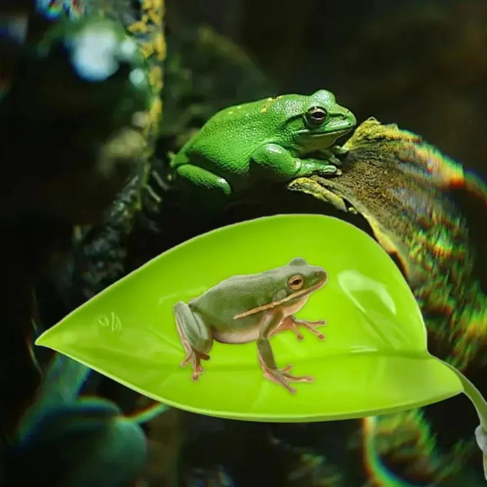 Leaf Suction Cup Reptile Basking Area
