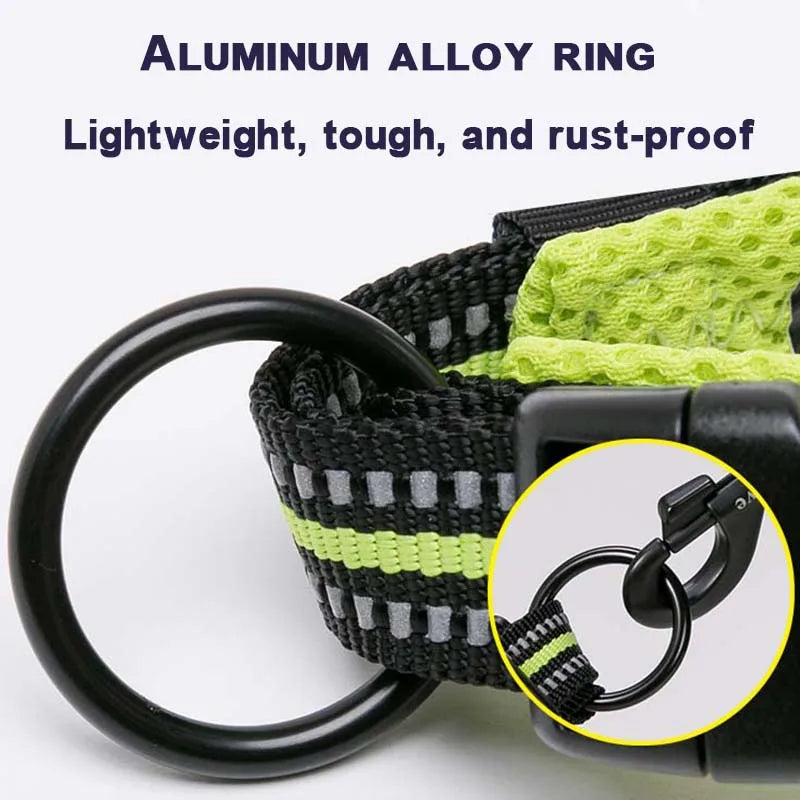 Padded Dog Collar