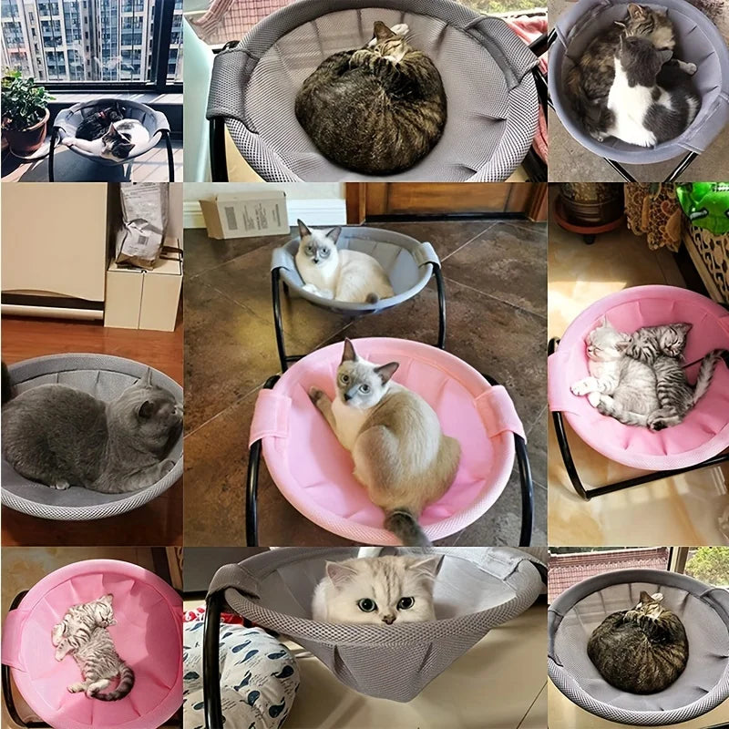 Pet Hammock