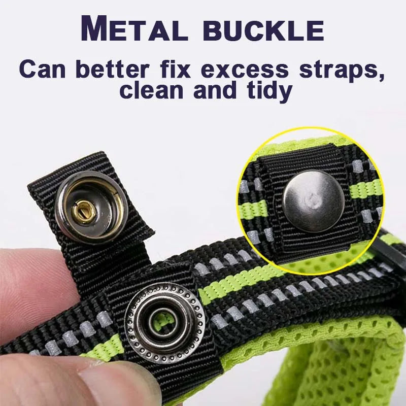 Padded Dog Collar