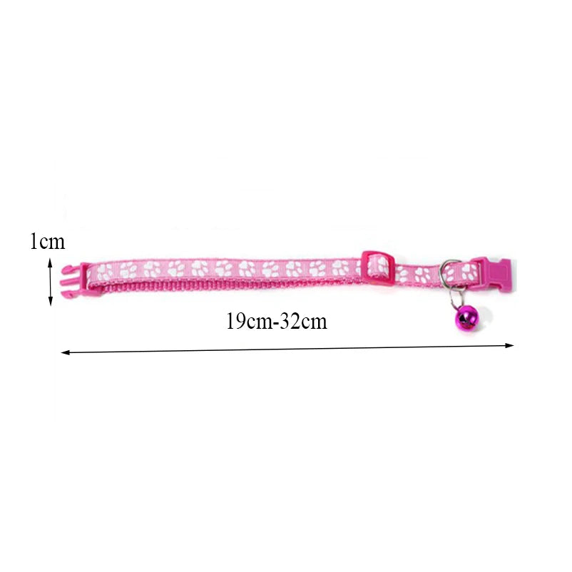 Colorful Cat Collar