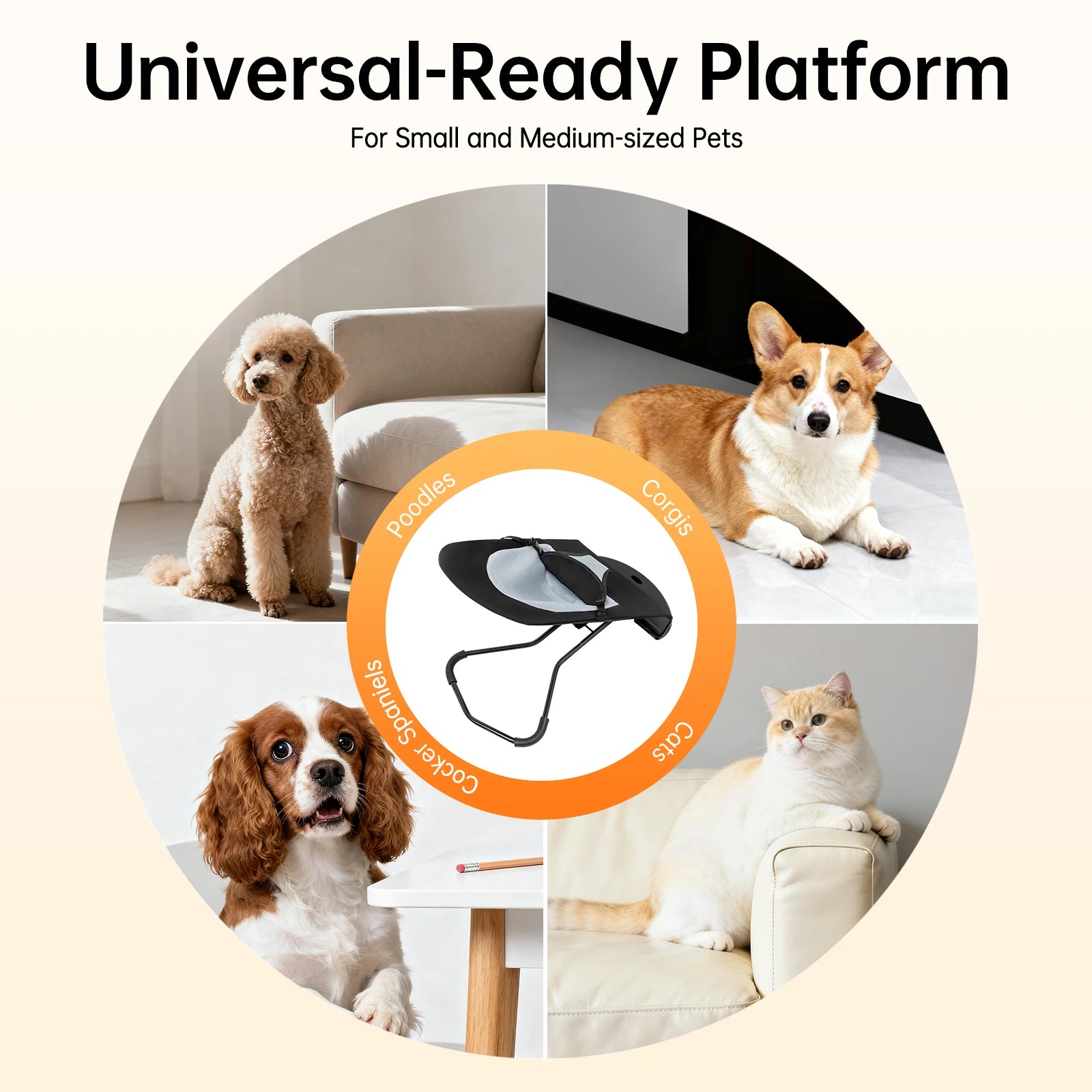 Adjustable Pet Rocker