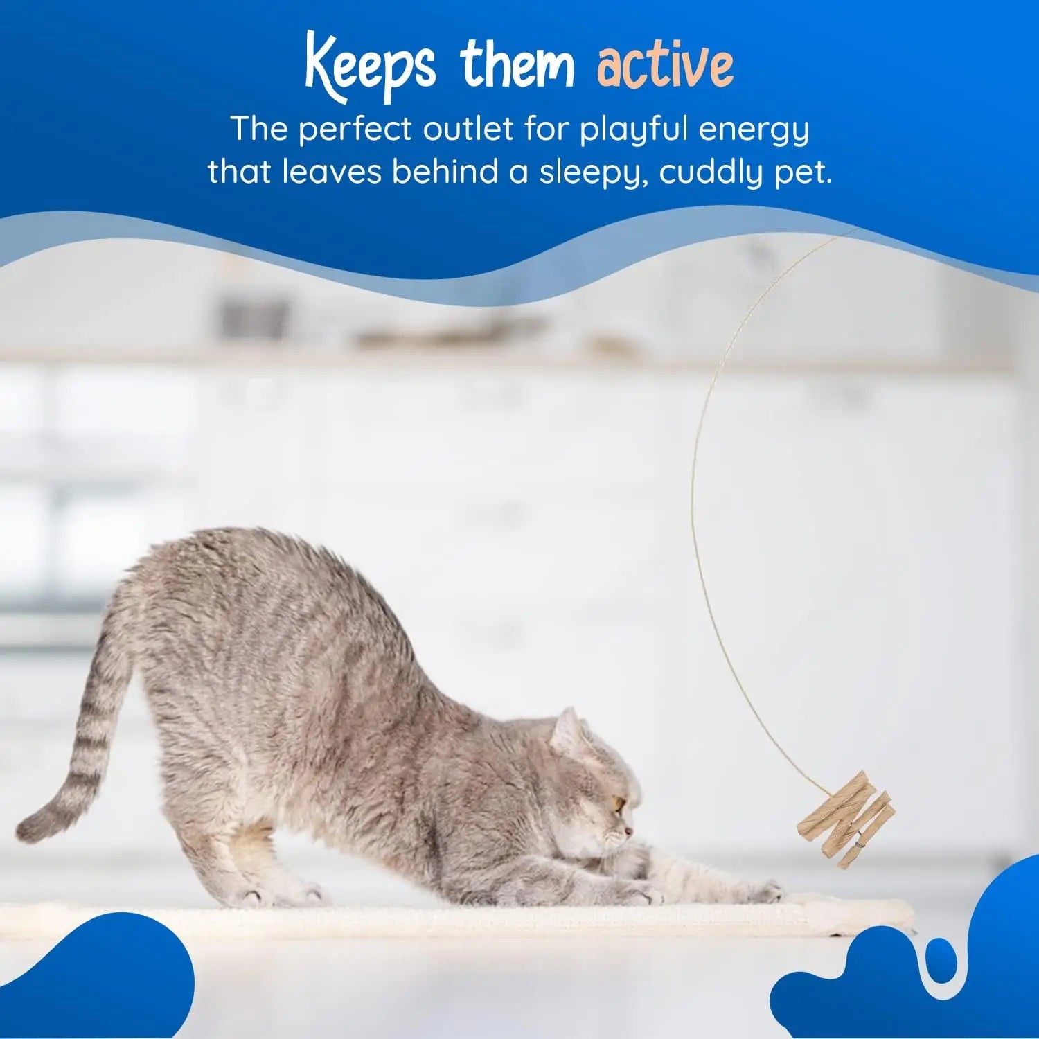 3 Pack Interactive Cat Toy