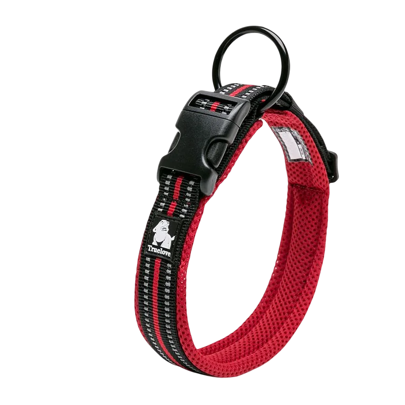 Padded Dog Collar