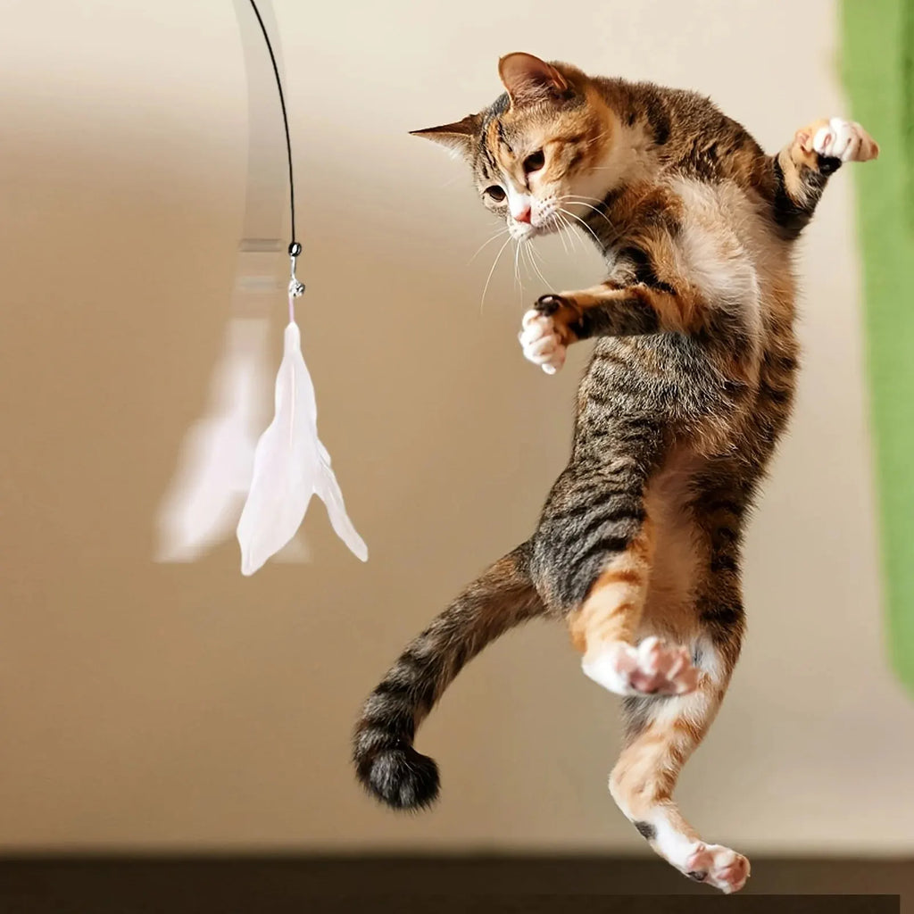 Cat Suction Cup Interactive Teaser Toy
