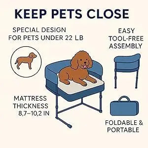 Elevated Pet Bed with Sides