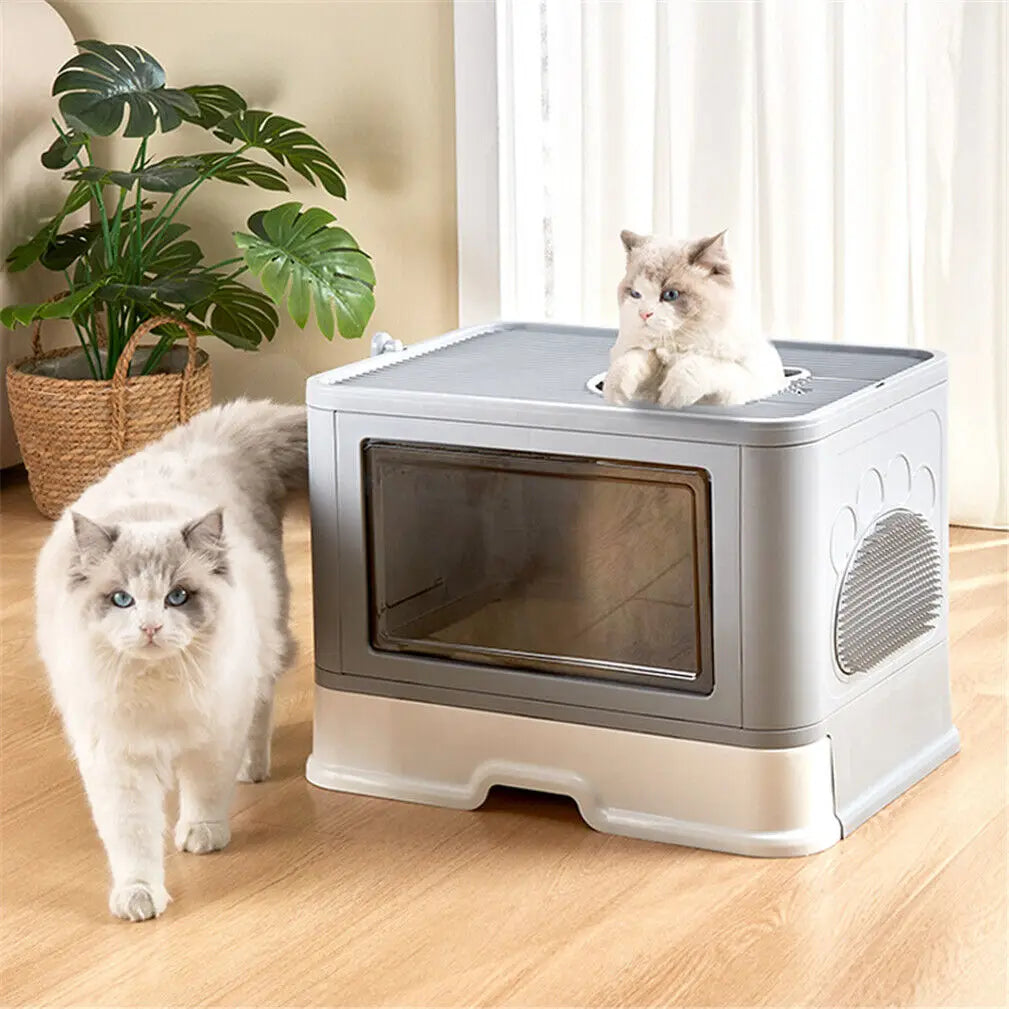 Enclosed Litterbox with Scoop