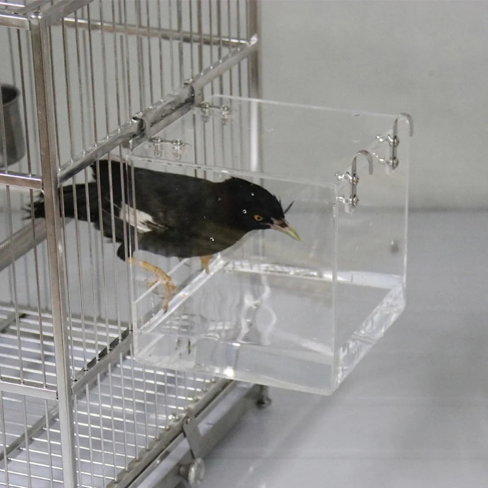 Transparent Acrylic Bird Bath