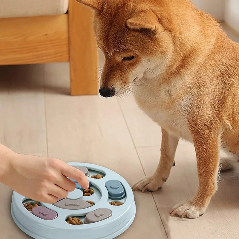 Interactive Food Bowl